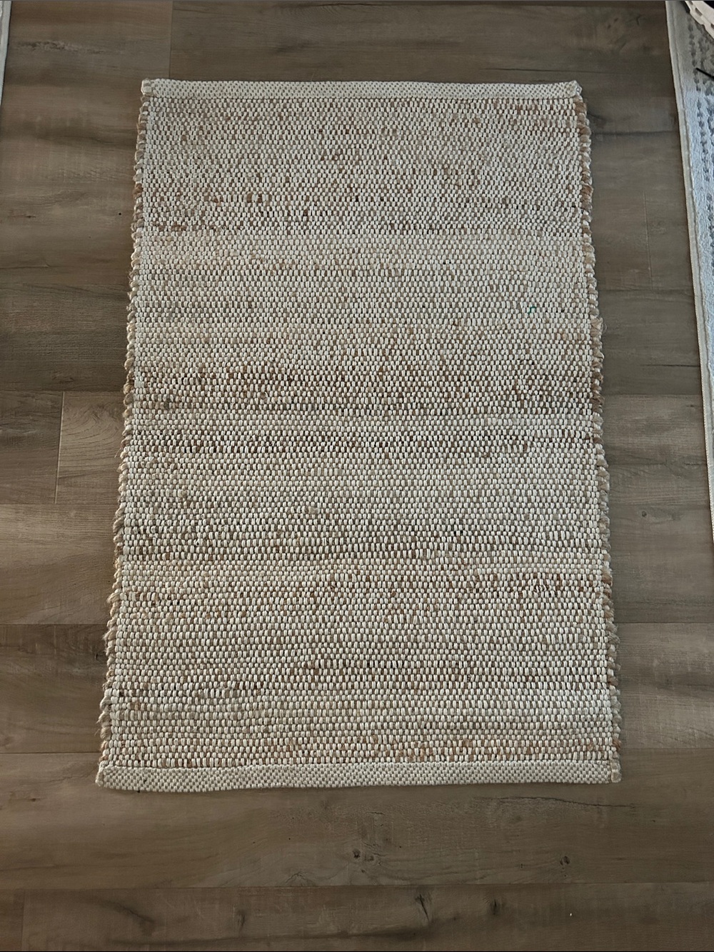 NuLoom 2’x3’ Jute Rug - Neutral Tones
